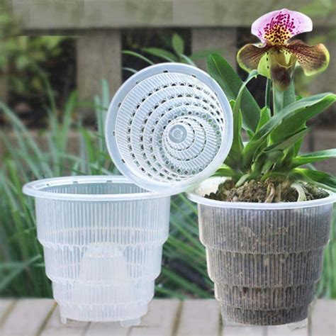 orchid pots near me|orchids for sale home depot.